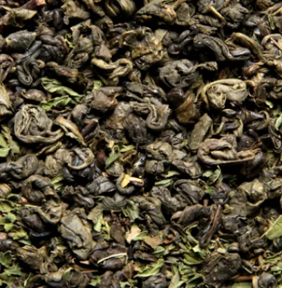 Thés Glacés|Thés Fruités|Compagnie & Co Les Thés Glacés GM - Thé Vert Menthe / Ronde Antillaise